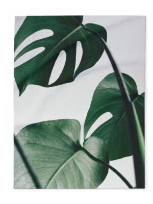Monstera Leaf Arctic Fleece Blanket